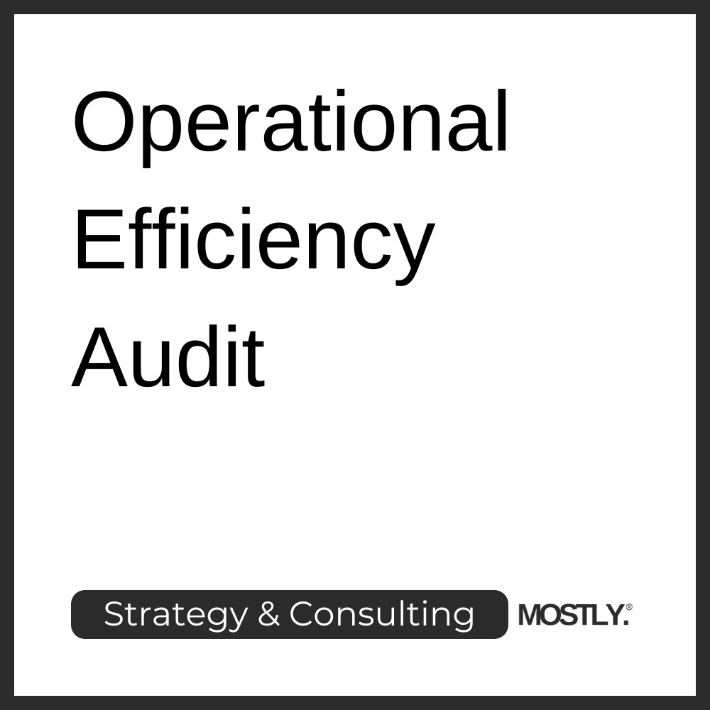 Operational Efficiency Audit